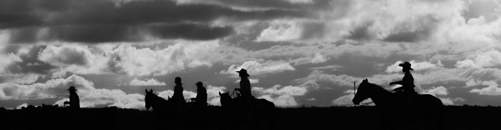 2019_Colo_MR-000-header cowboy silhouettes moving cows