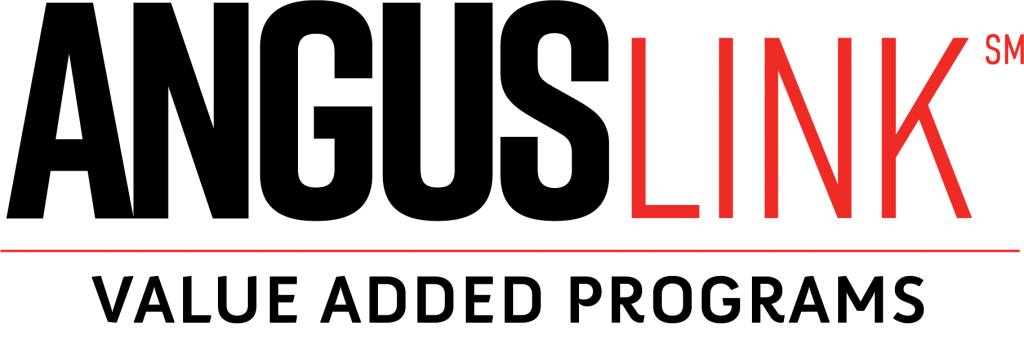 AngusLink 2020 logo
