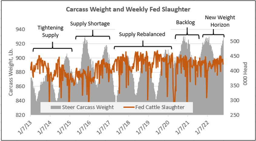 Carcass weight and Weekly Fed Slaughter history