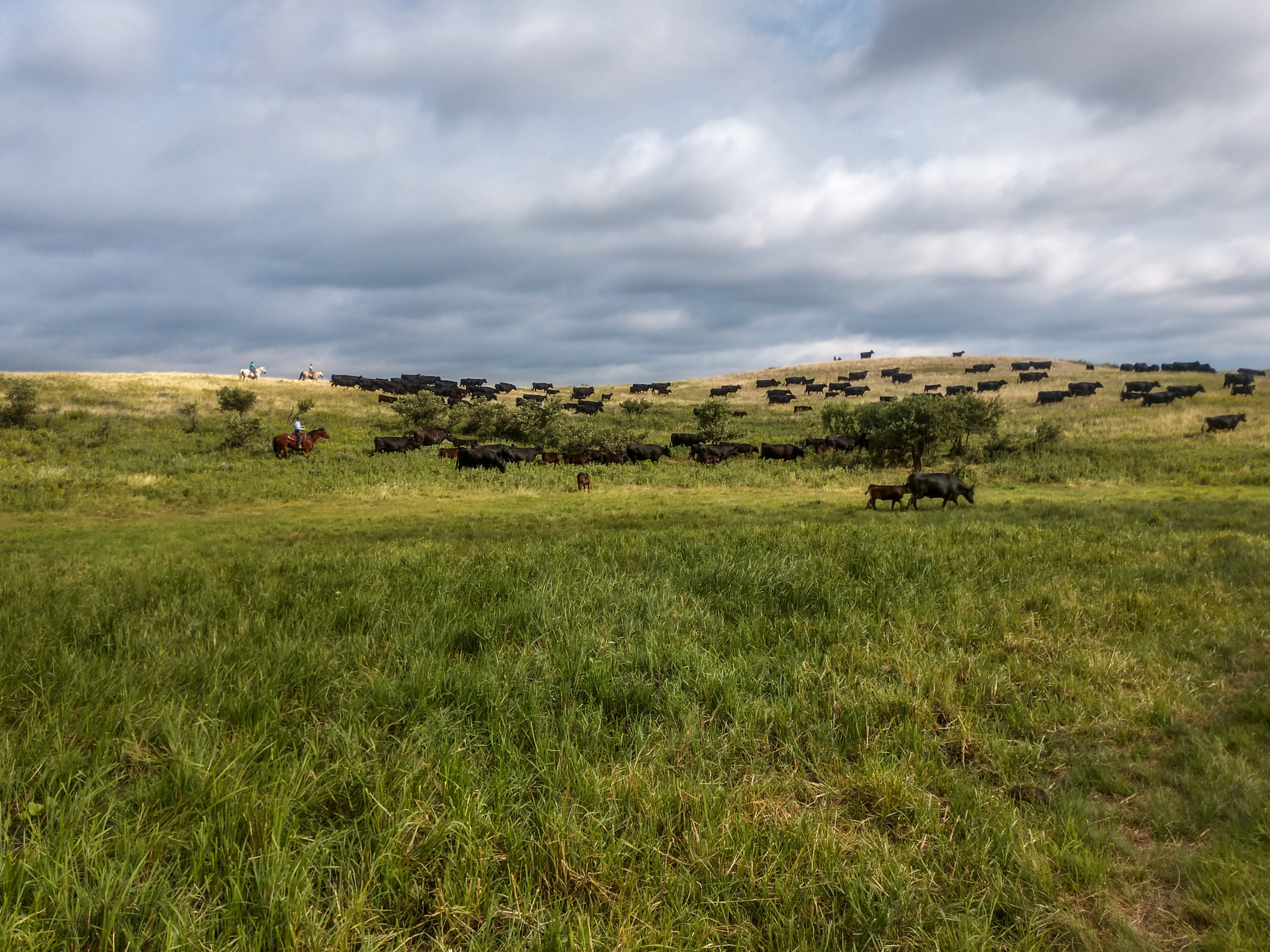 North Dakota