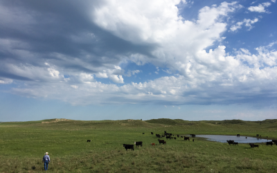 Entrepreneurial Genes and Cowboy Dreams – Gerald Timmerman Earns Honors