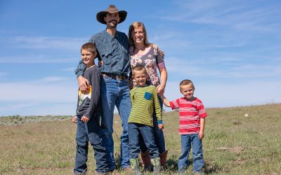 From chaos to dream ranch