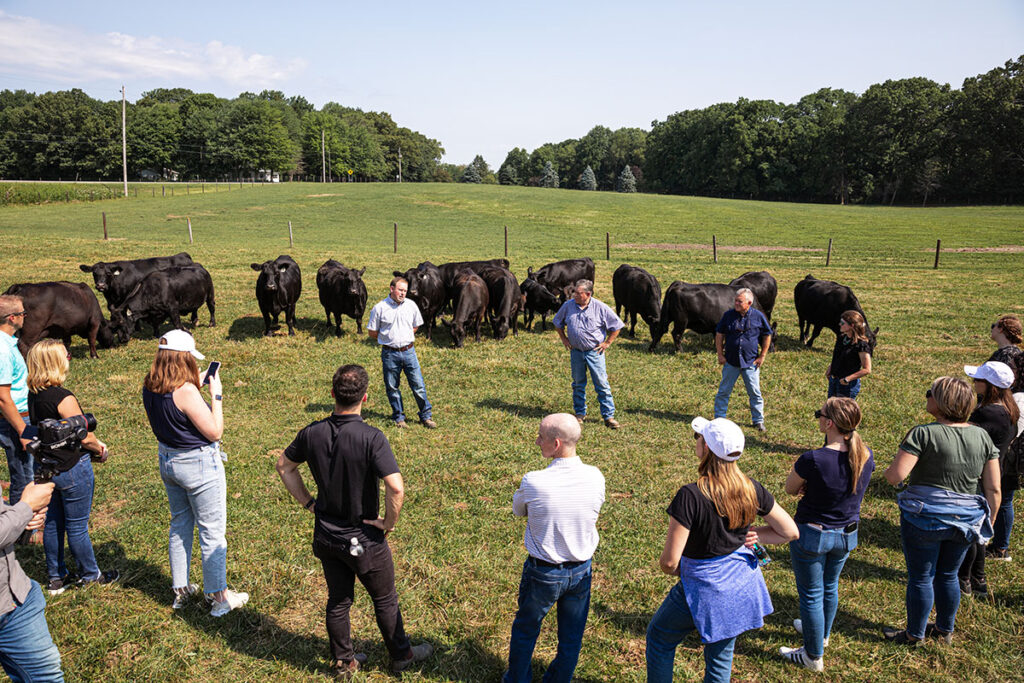 seldom rest farms CAB ranch day